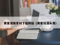 资阳黑客漫画素材下载网站（黑客动漫头像）